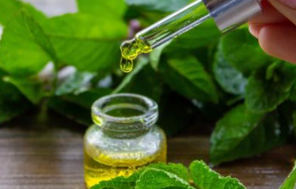 植物提取物检测